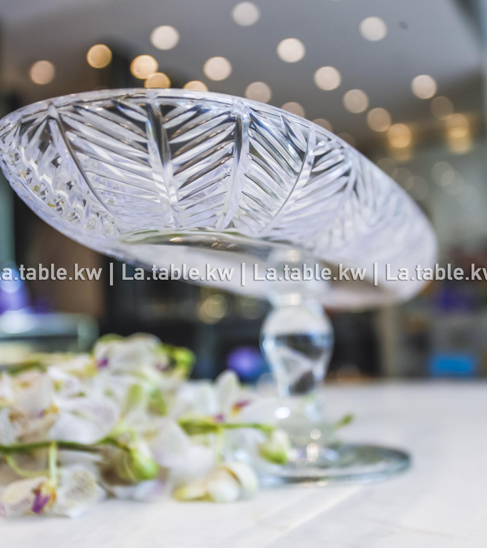 Transparent Spider Long Plate