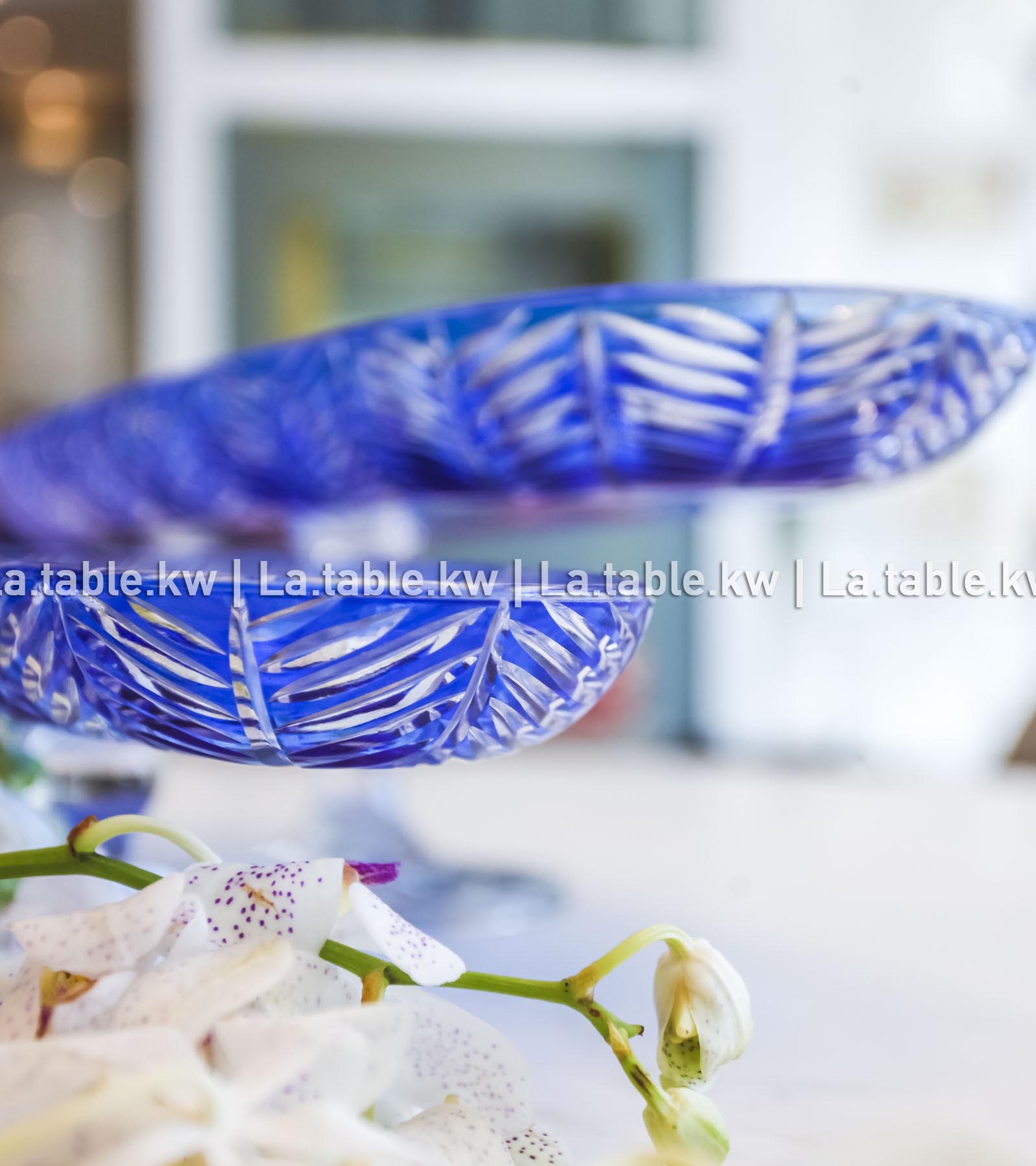 Royal Blue Spider Long Plate