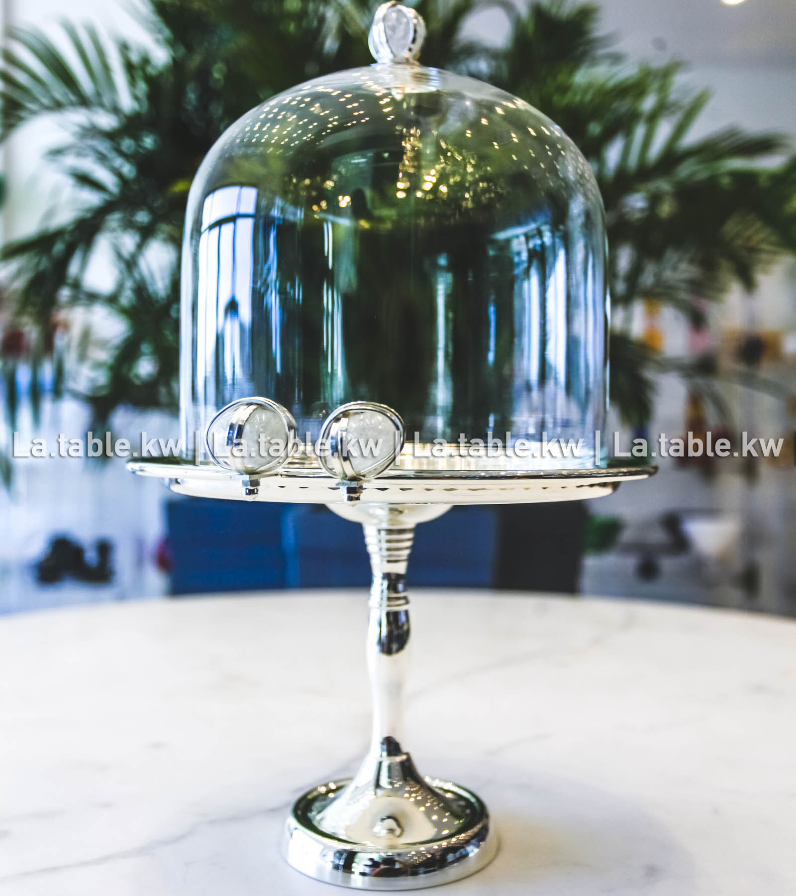 White Stone Designed Chrome Mini Cake Dome