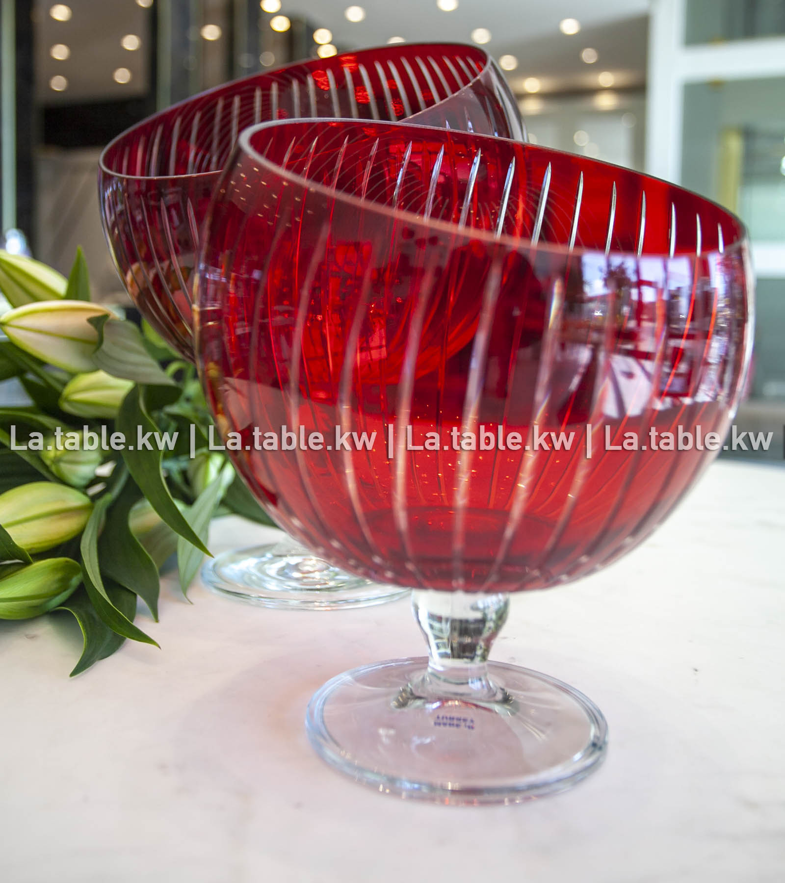 Scarlet Red Classic Halfmoon with Stand