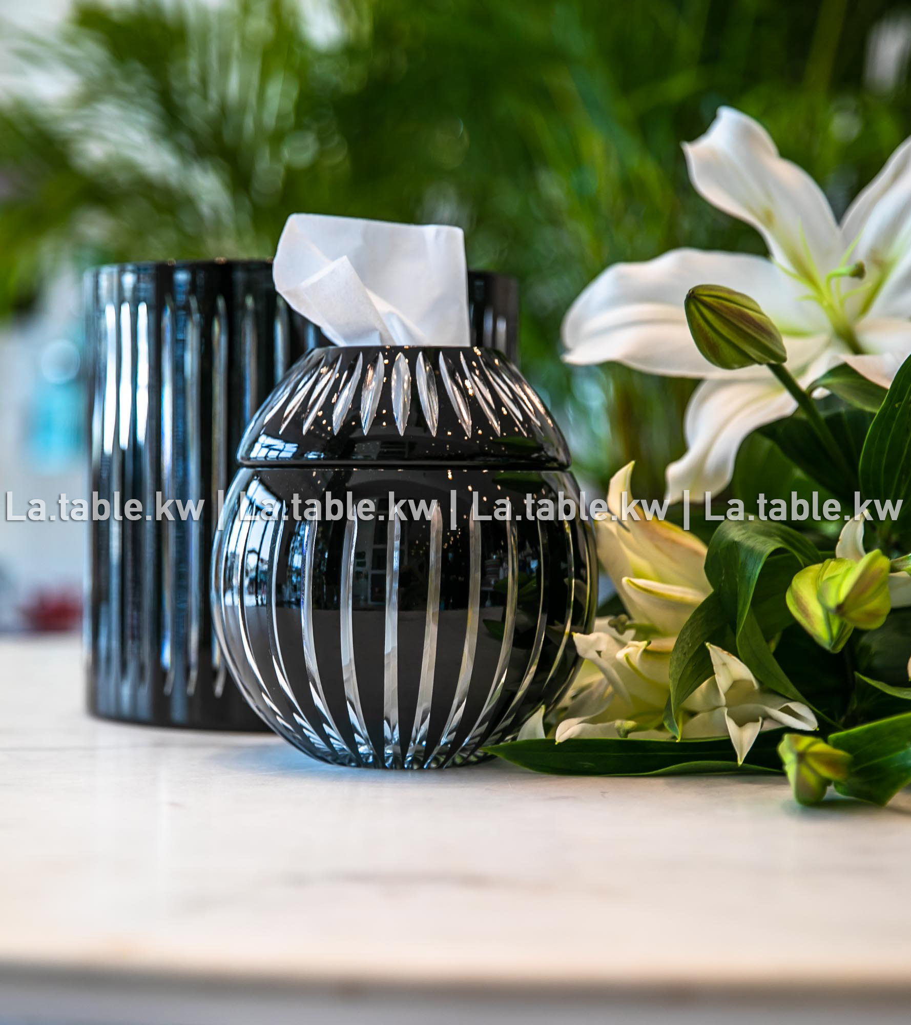 Black Classic Tissue and Trash Box Set